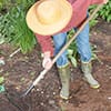 Gardener Gifts under the Tree
